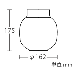 外形図